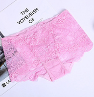 Women's Lace underwear