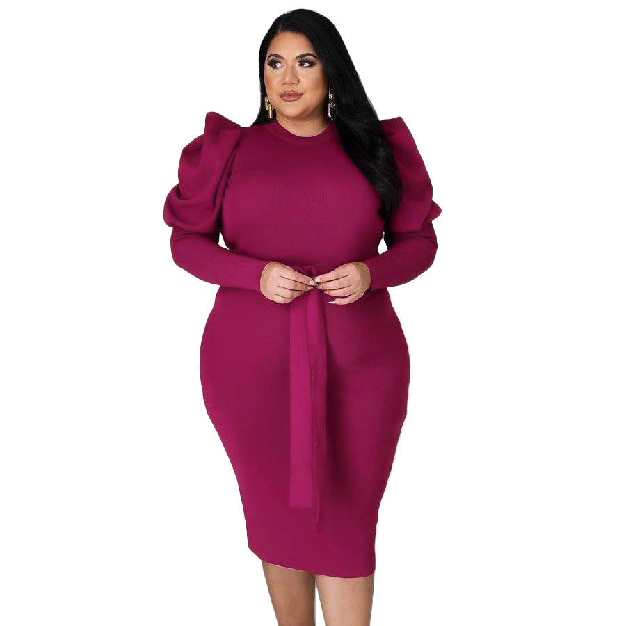 Women's Slim Fit Dress