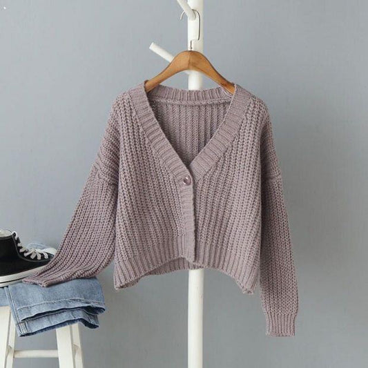 New Autumn And Winter Clothes Baggy Coat Soft Thick Thread Short Cardigan Sweater For Women