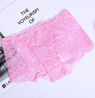 Women's  Lace underwear