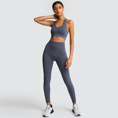 Seamless Gym Set Nylon Woman Sportswear