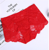 Women's  Lace underwear