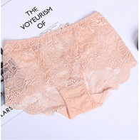 Women's  Lace underwear