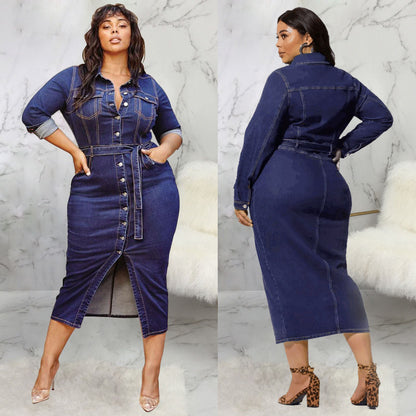 Denim Long Sleeves Women's Dress