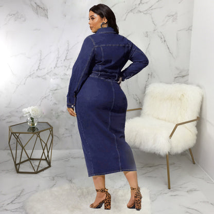 Denim Long Sleeves Women's Dress