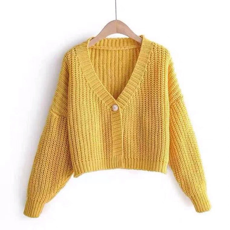 New Autumn And Winter Clothes Baggy Coat Soft Thick Thread Short Cardigan Sweater For Women