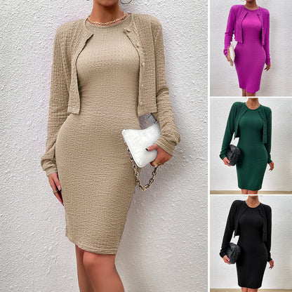 Stylish Temperament Long Sleeves Round Neck Sheath Dress Suit